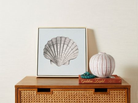 Scallop Shell Blue  By Nathan Turner on Natural Canvas Framed Art Discount