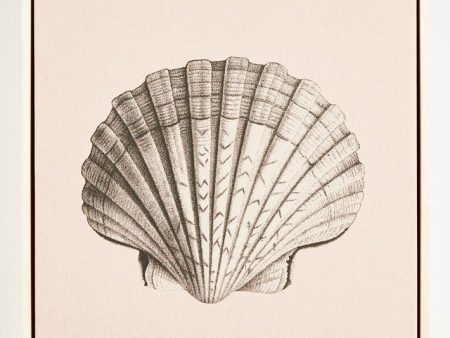 Scallop Shell Pink on Natural Canvas Framed Art Discount